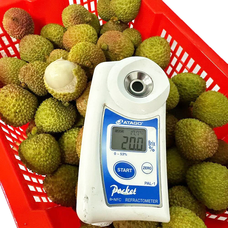 original-box-china-concubine-lychee-2kg-3