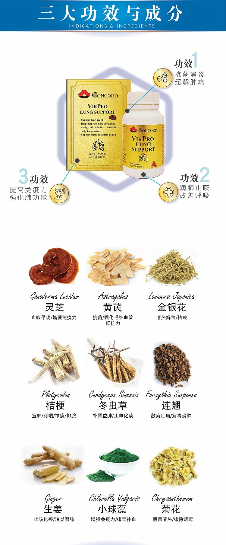 concord-kang-dao-jian-lung-bao-capsules-60-capsules-4