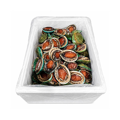 【冻】澳洲老虎鲍鱼 Tiger Abalone 7头 1kg