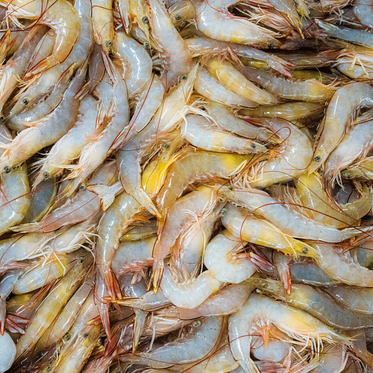 australian-wild-endevour-prawns-size-2130-1-kg-1