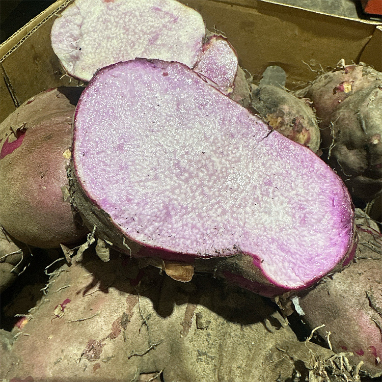 purple-skinned-purple-fleshed-yam-purpleyam-1113-kg-1