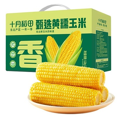 十月稻田 鲜食黄糯玉米 1.32kg