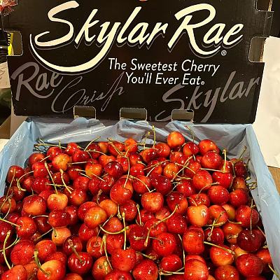 美国Skylar Rae白樱桃 9R 500g