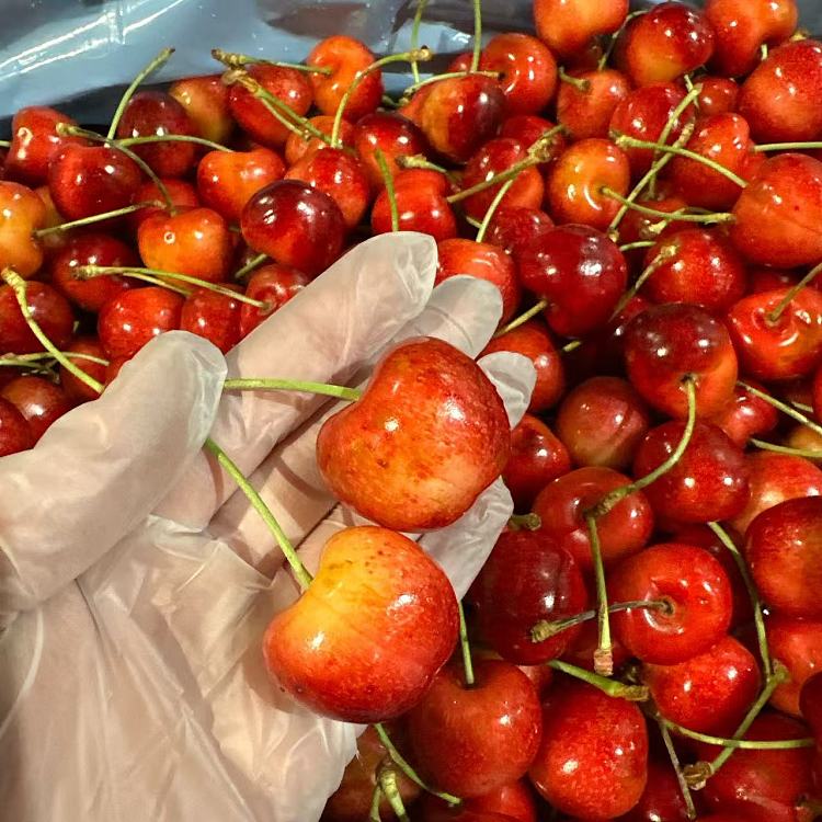 skylarrae-white-cherries-usa-9r-500g-3