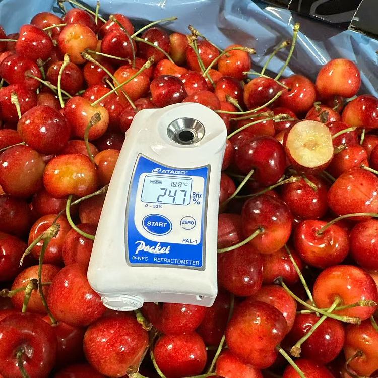 skylarrae-white-cherries-usa-9r-500g-2
