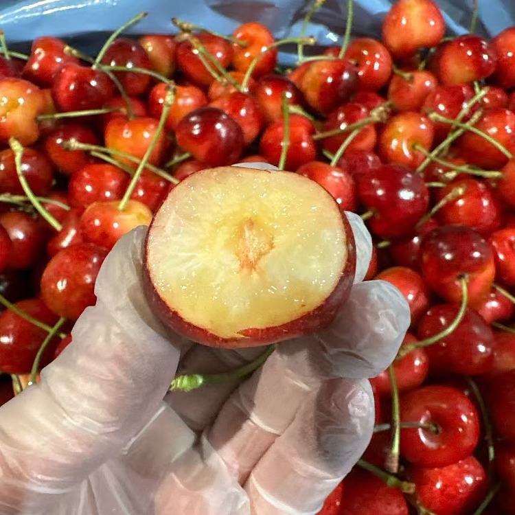 skylarrae-white-cherries-usa-9r-500g-4