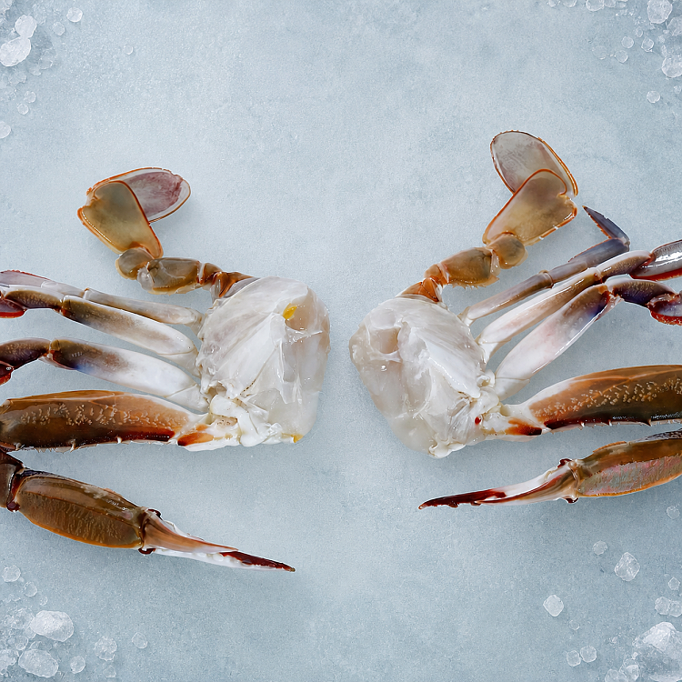 freezeblue-swimming-crab-halvesblueswimmingcrabha-1