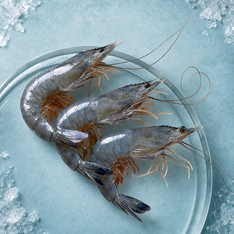 frozen-paradise-shrimp-size3140-sashimi-grade-gift-box-1kg-2