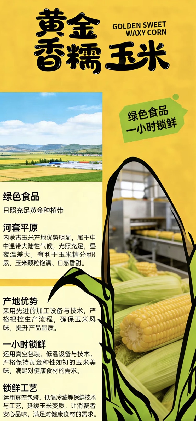 jinyuanbao-golden-sweet-waxy-corn-18-kg-1