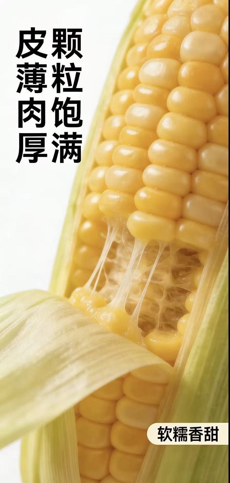 jinyuanbao-golden-sweet-waxy-corn-18-kg-3