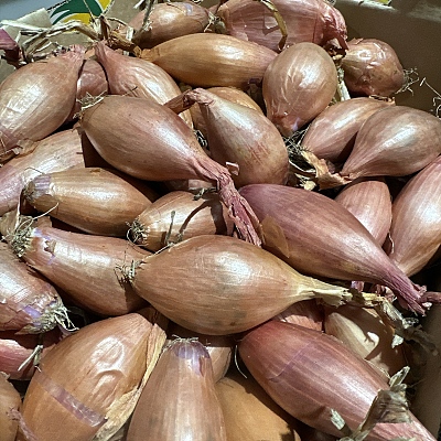 红葱头 Shallot 约500g