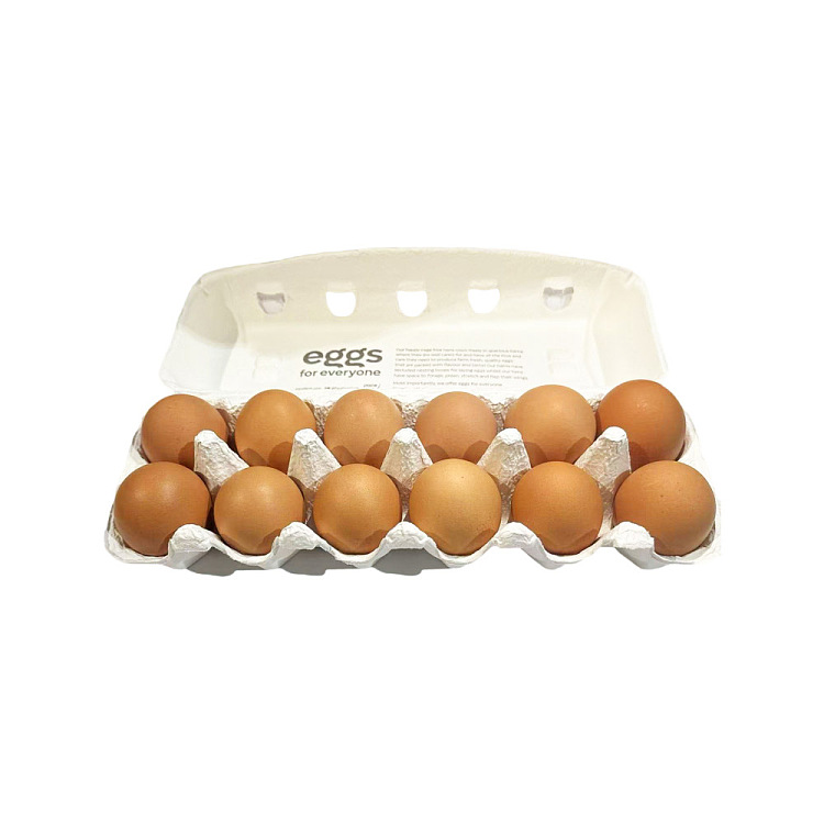 pacefarm-cage-free-grain-fed-free-range-eggs-extra-large-12-pack-700g-3