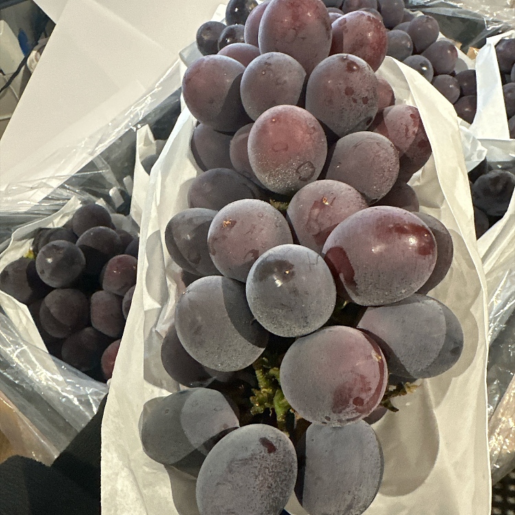 japan-cats-eye-kyoho-grape-9001000g-2