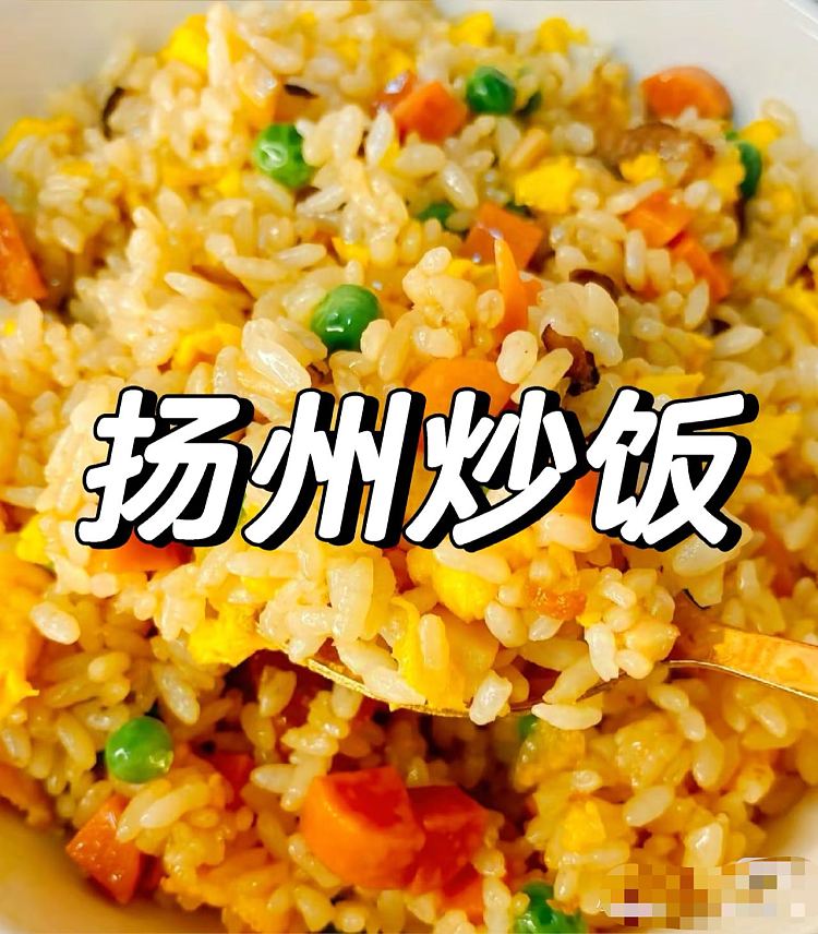 frozen-yangzhou-fried-rice-500ml-1