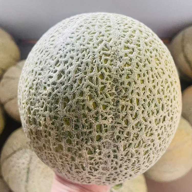 fresh1-ufresh-netflix-mini-honeydew-melon-1