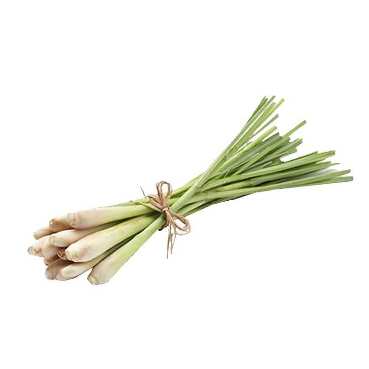 fresh-one-bundle-of-lemongrass-lemon-grass-about-500g-2