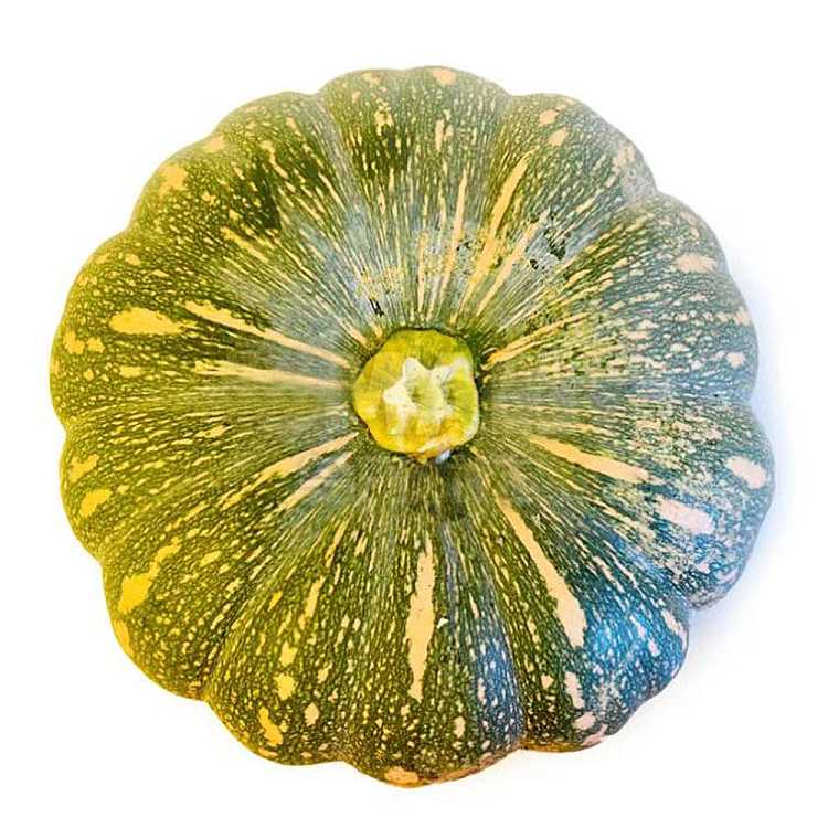 freshufresh-japanese-pumpkin-about-3-35kg-2