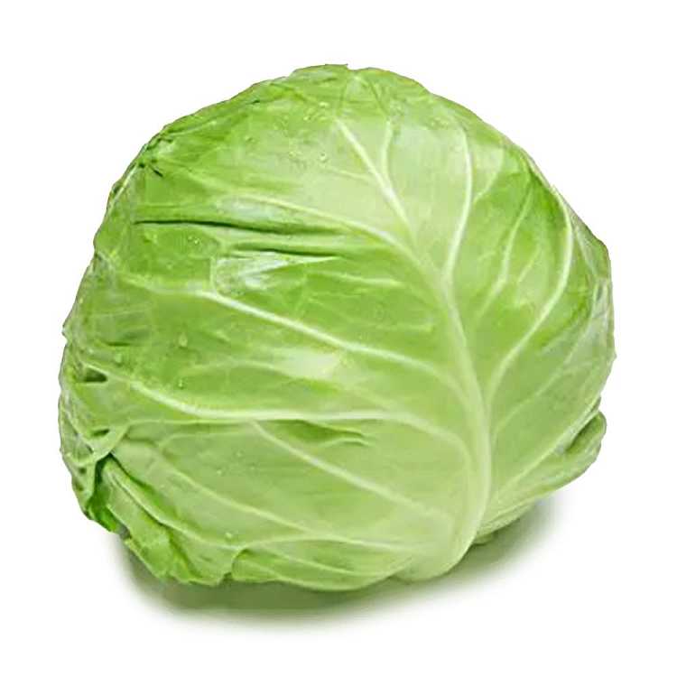 fresh-ufresh-cabbage-1-piece-1