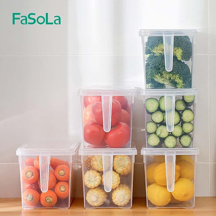fasola-refrigerator-with-lid-handheld-crisper-transparent-47l-1