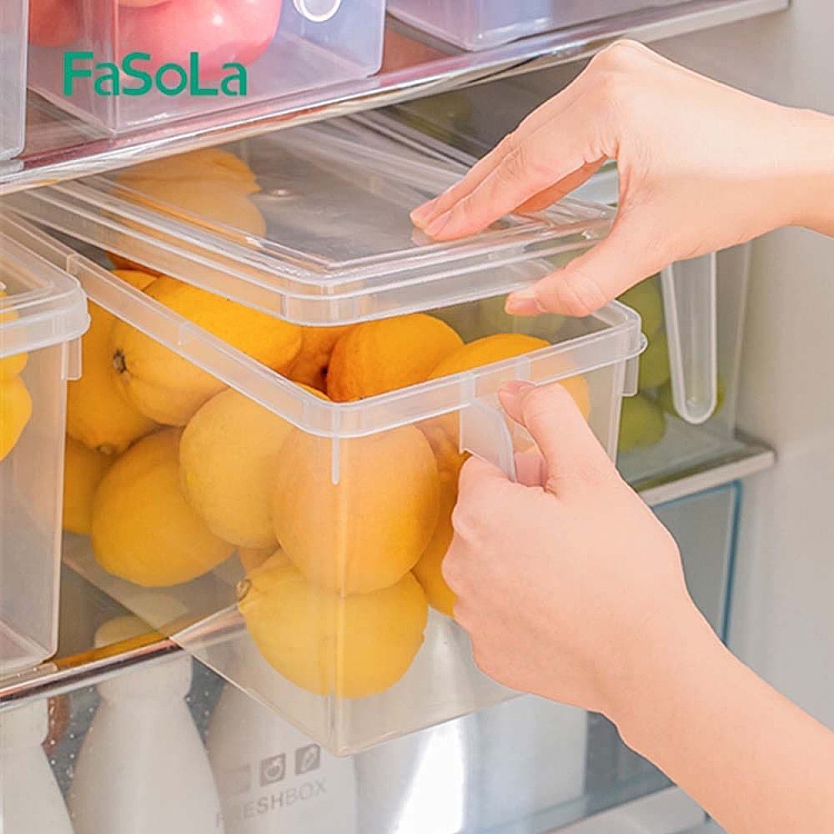 fasola-refrigerator-with-lid-handheld-crisper-transparent-47l-3