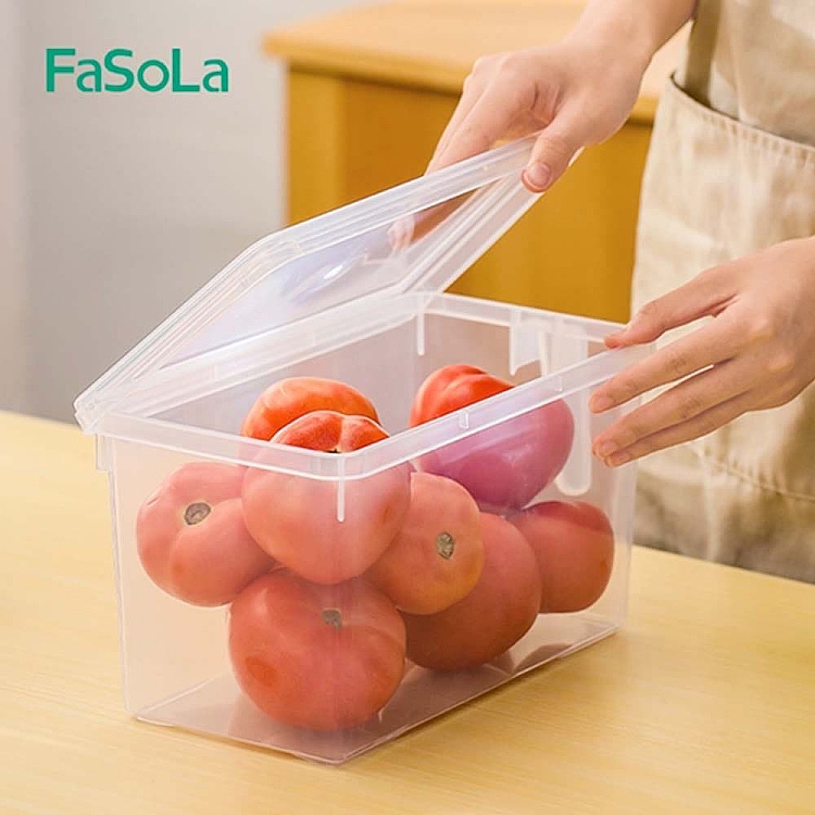 fasola-refrigerator-with-lid-handheld-crisper-transparent-47l-4