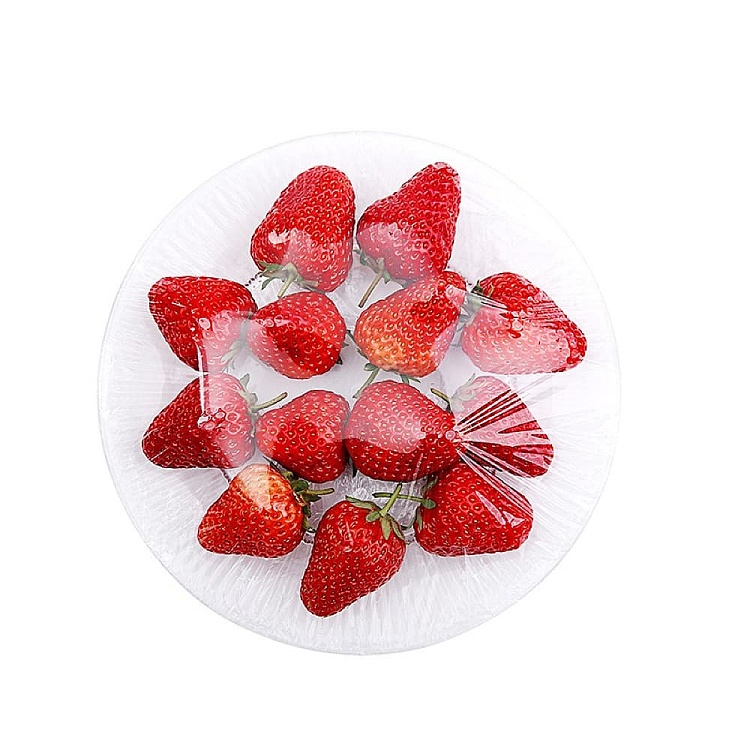 fasola-food-cling-wrap-large-3050cm-4