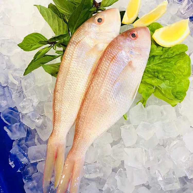 fresh-one-serving-of-cheng-kee-local-fresh-red-cedar-fish-about-500g-before-cleaning-1