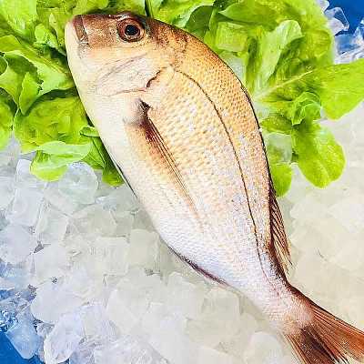 【急冻锁鲜】本地新鲜红立鱼一份(snapper) 清理前约500g