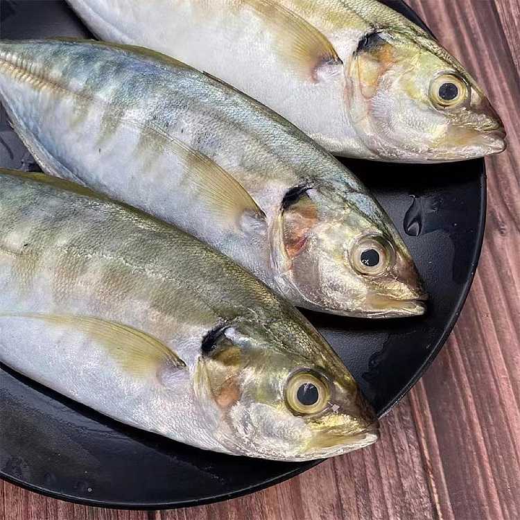 freshchengji-local-fresh-yellowtail-about-450-500g-not-cleaned-1