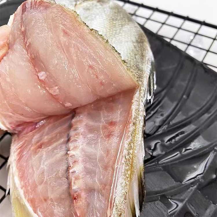 freshchengji-local-fresh-yellowtail-about-450-500g-not-cleaned-2