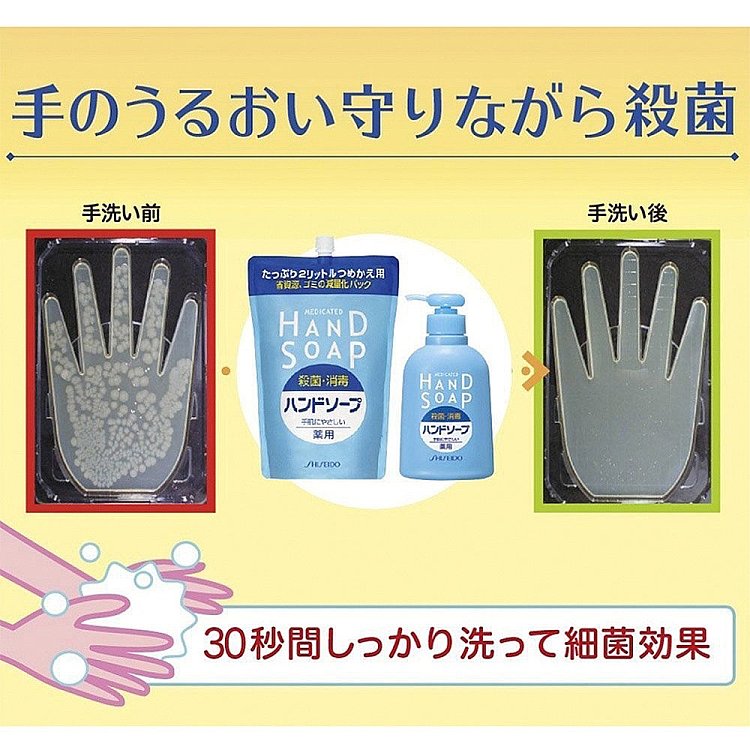 shiseido-pharmaceutical-antiseptic-hand-soap-250ml-2