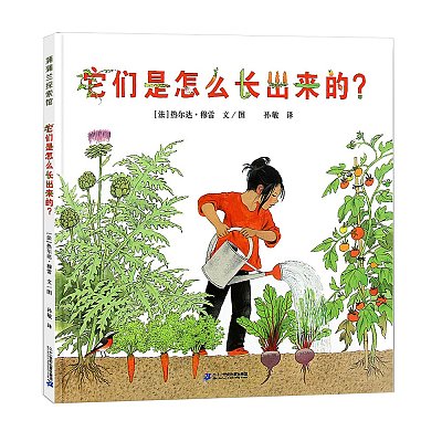 蒲蒲兰绘本 它们是怎么长出来的？精装 4岁以上