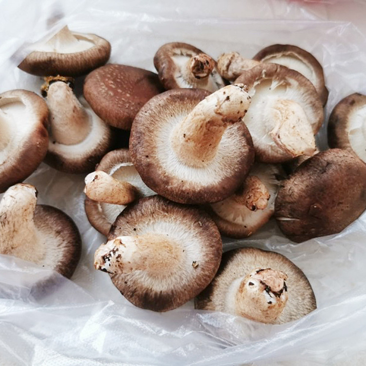 fresh-ufresh-fresh-mushrooms-about-100g-1