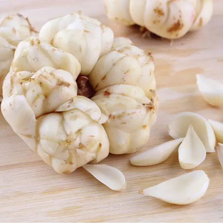 freshufresh-fresh-lily-about-100-125g-2