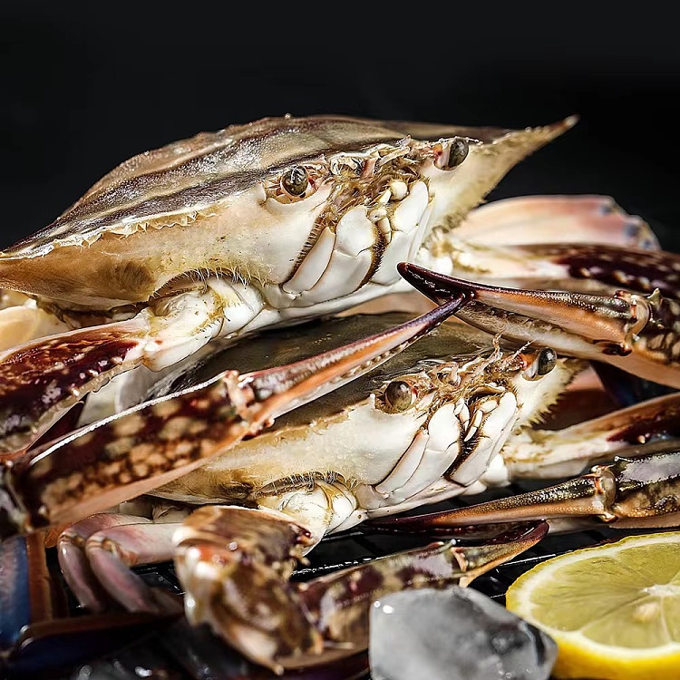 fresh-cheng-ji-fresh-green-crab-with-orchid-about-400-500g-1