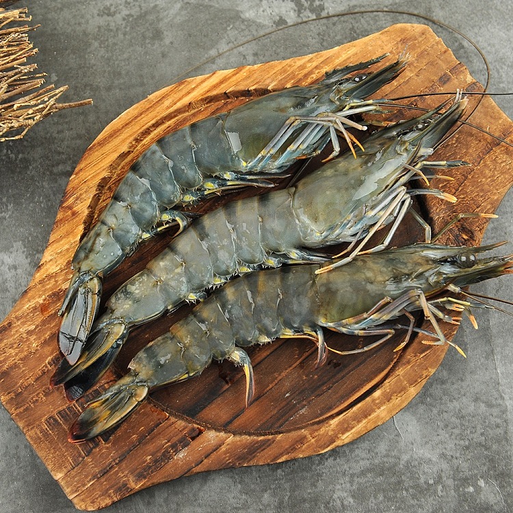 frozencheng-kee-queensland-frozen-black-tiger-prawns-about-480-500g-1