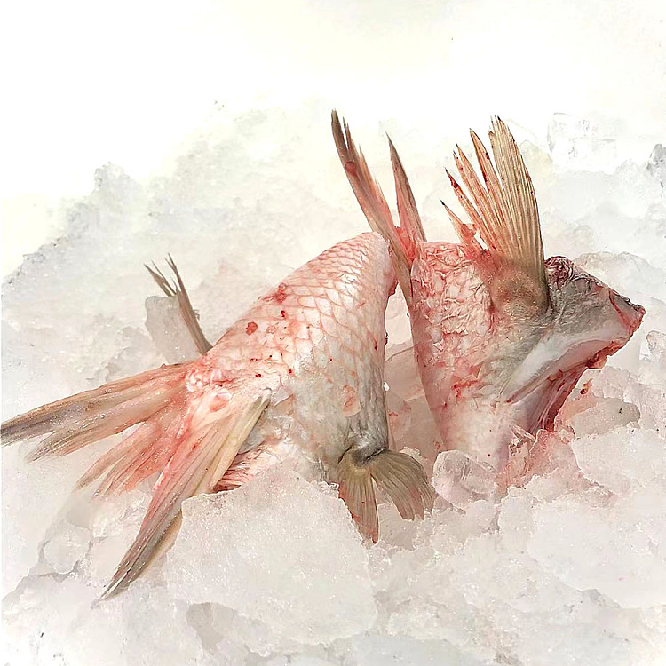 freshchengji-tasting-rare-fresh-blind-trough-fish-belly-fish-buckle-chopped-pepper-steamed-a-about-400-500g-1