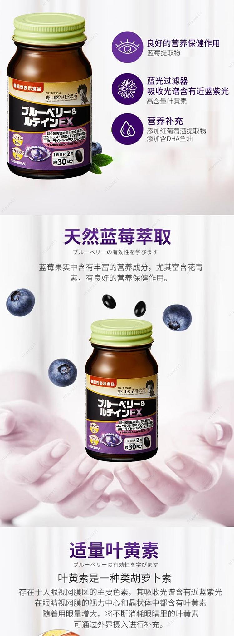 japanese-version-noguchi-medical-research-institute-blueberry-lutein-eye-protection-pills-60-capsules-2