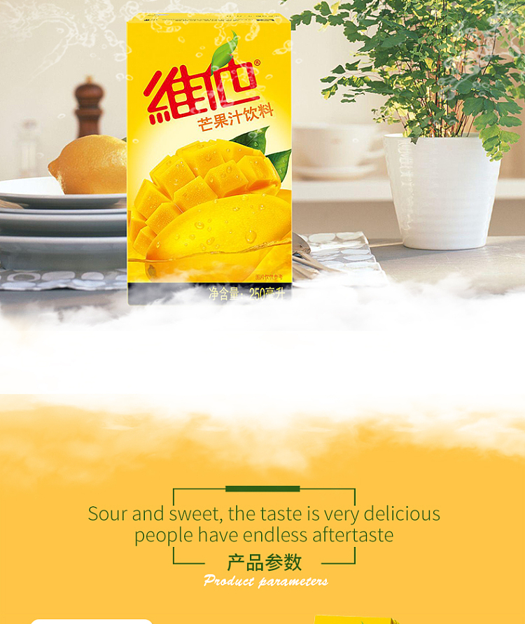 vita-mango-juice-6pk-3