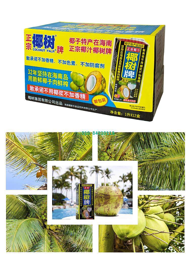 coconut-palm-tree-coconut-juice-1l-3