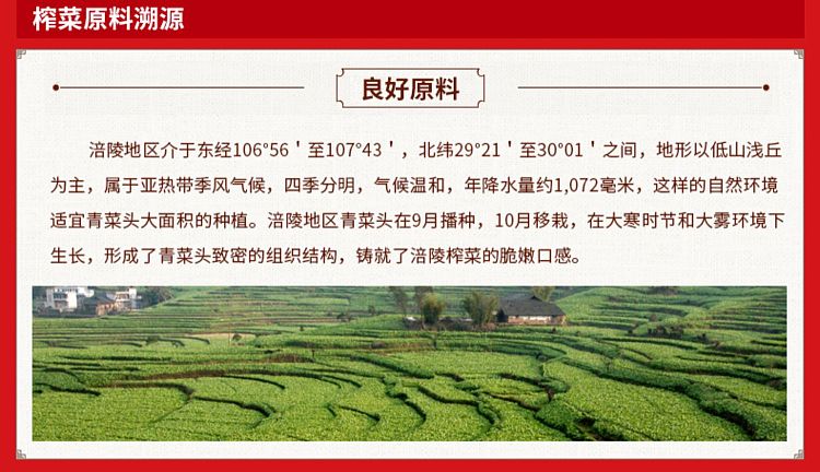 wujiang-full-shape-squash-300g-4
