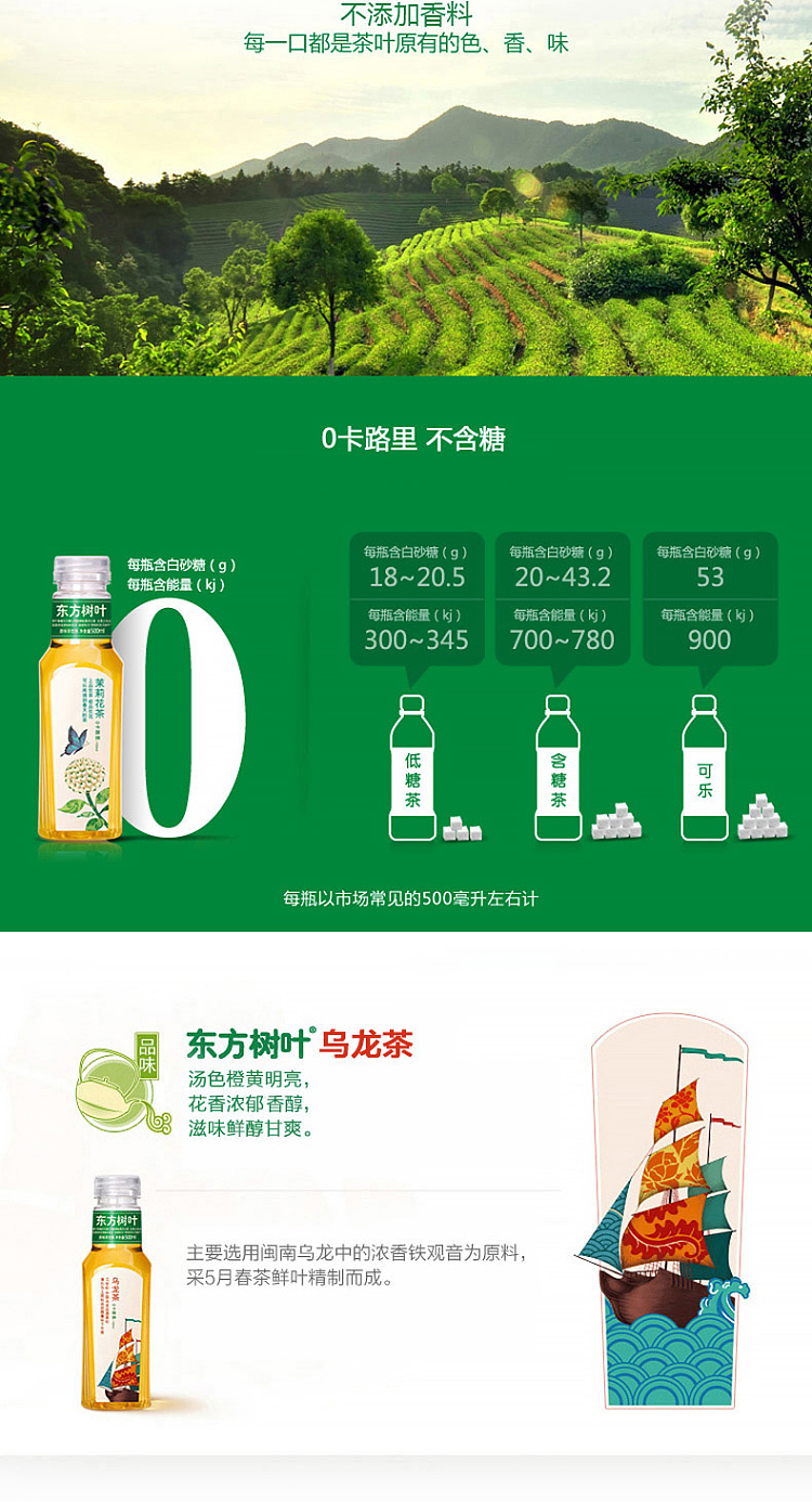 oriental-leaf-unsweetened-green-tea-500ml-2