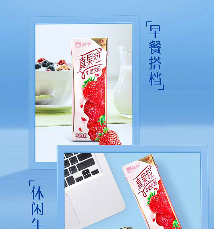 mengniu-real-fruit-milk-drink-strawberry-flavor-single-250ml-8