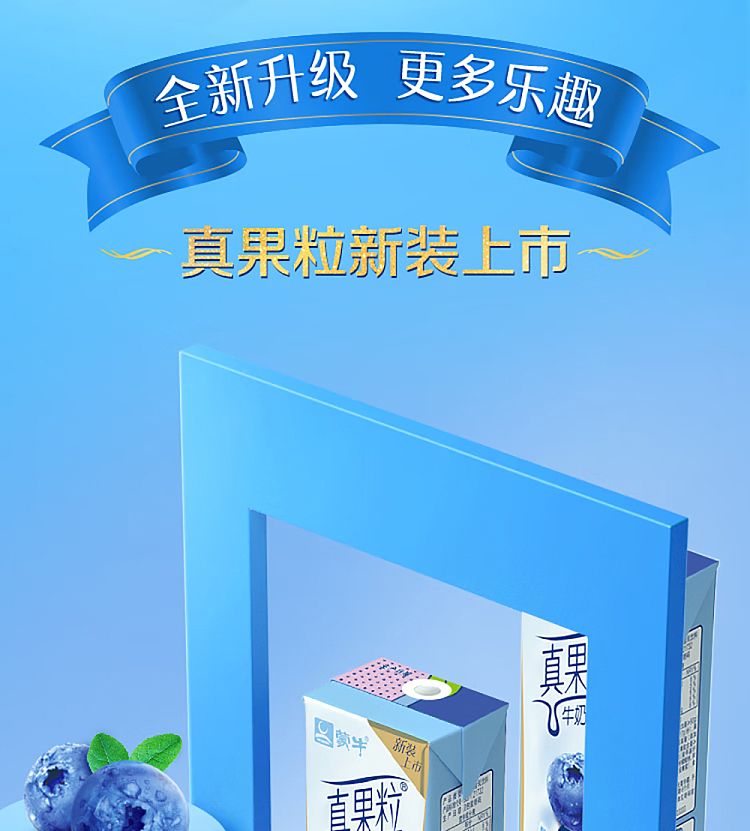 mengniu-real-fruit-milk-drink-blueberry-flavor-single-250ml-2