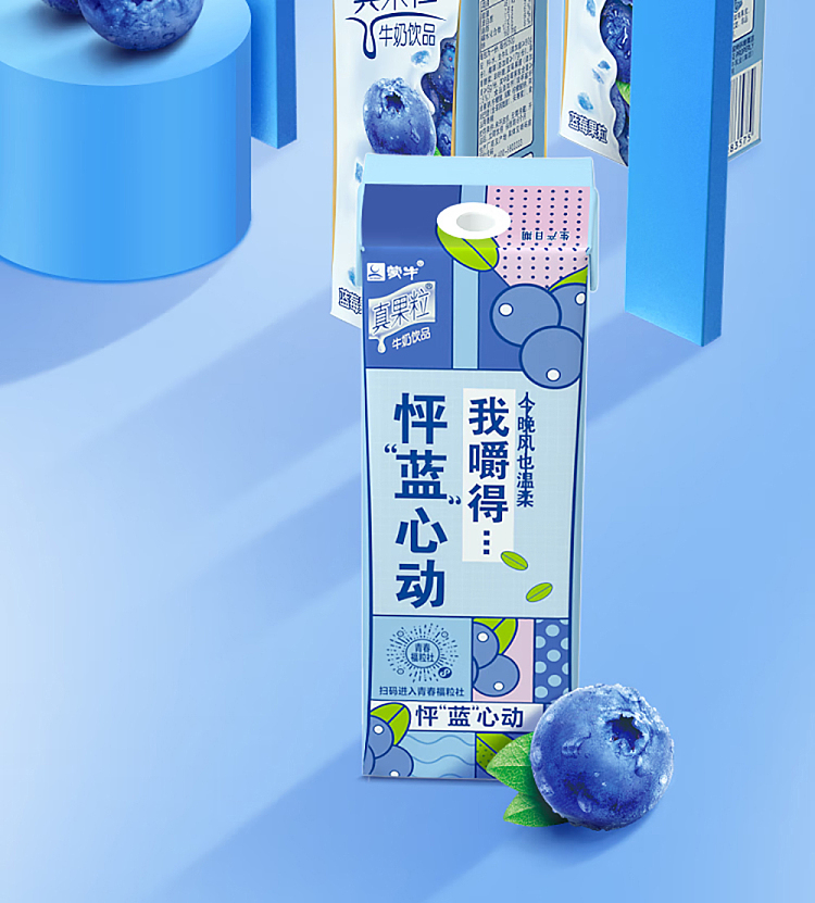 mengniu-real-fruit-milk-drink-blueberry-flavor-single-250ml-3