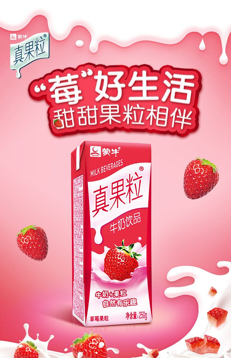 mengniu-real-fruit-milk-drink-blueberry-flavored-12-bottles-1