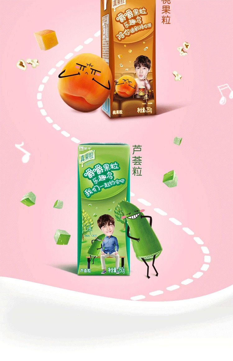 mengniu-real-fruit-milk-drink-blueberry-flavored-12-bottles-13