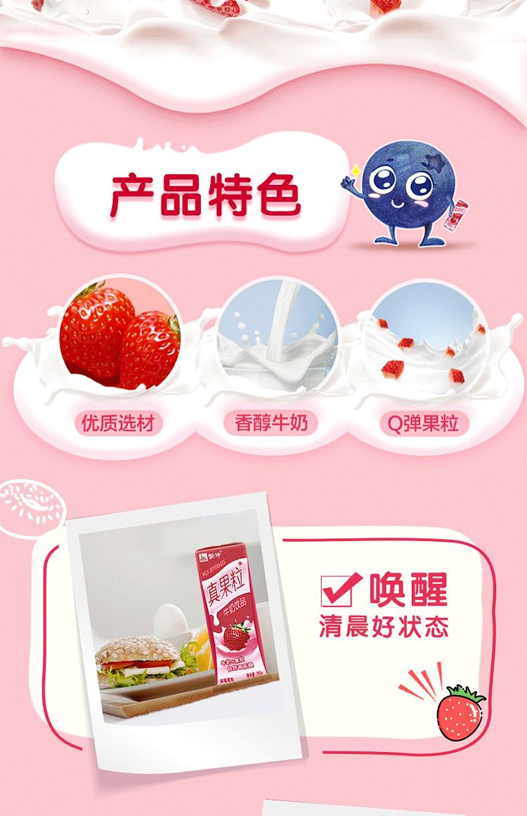 mengniu-real-fruit-milk-drink-blueberry-flavored-12-bottles-3