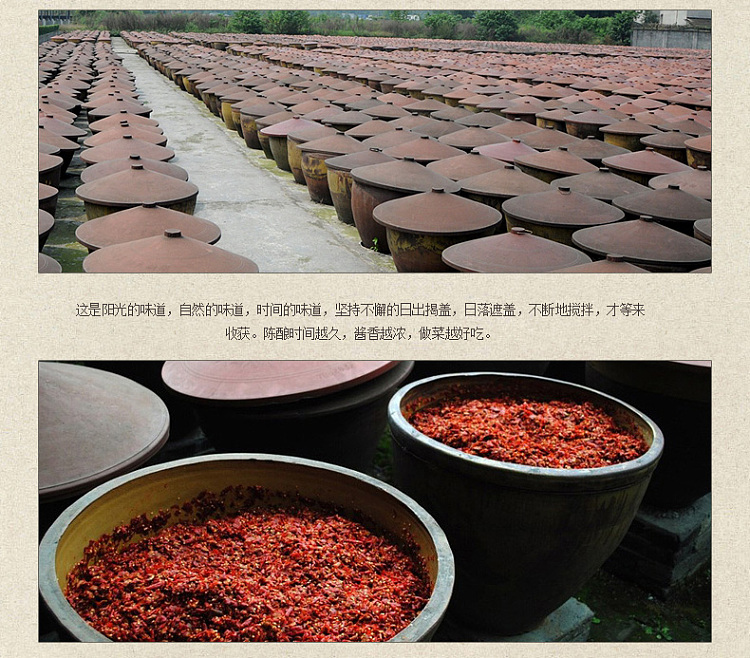 sichuan-style-pixian-douban-broad-bean-paste-500g-10