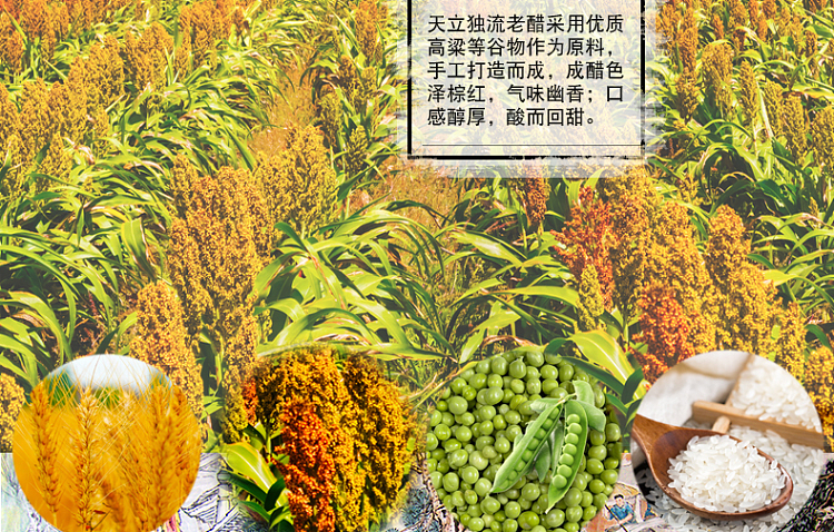 tianli-duliu-old-vinegar-480ml-7